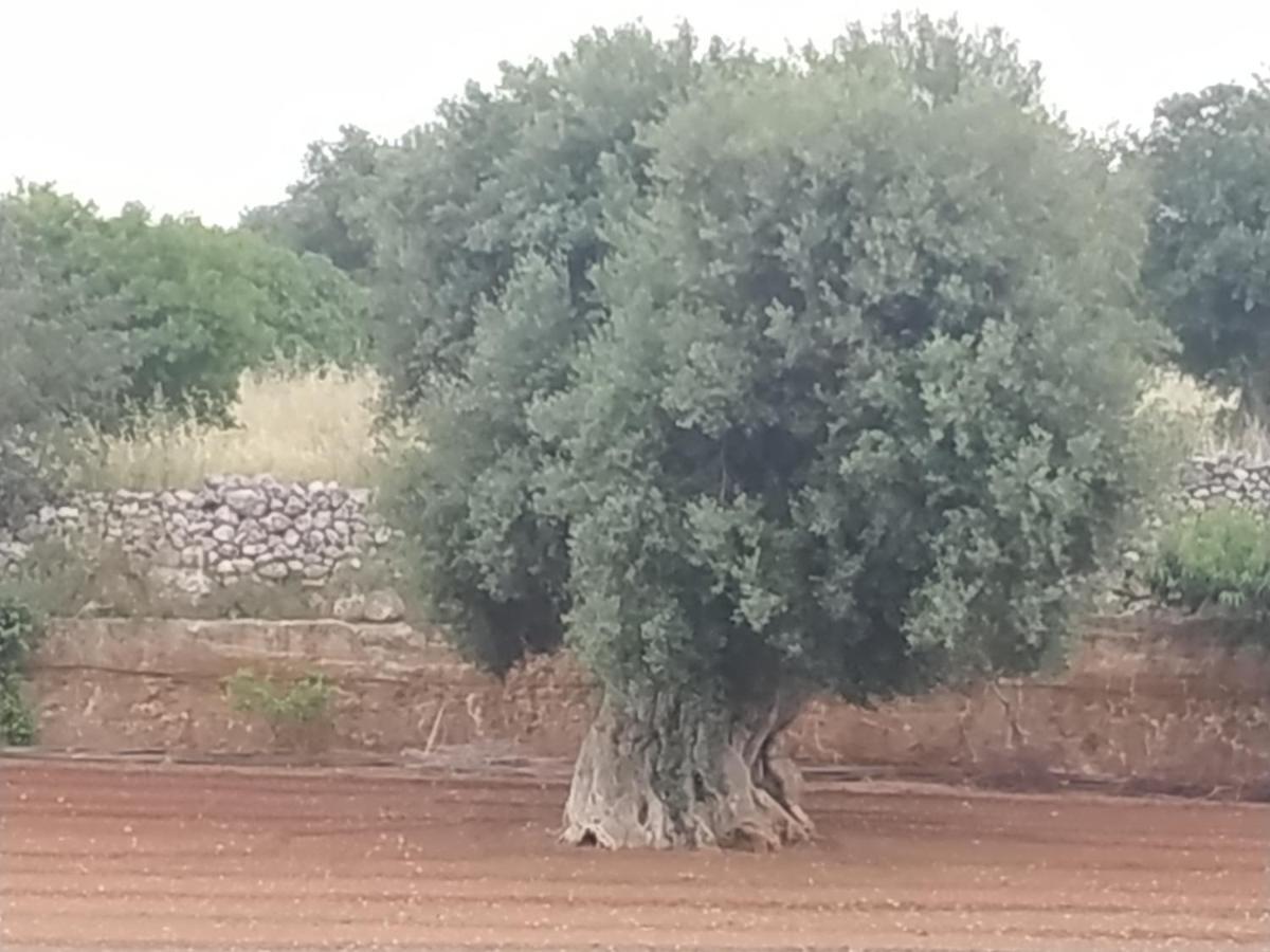 Masseria Auina Hotel Fasano Luaran gambar